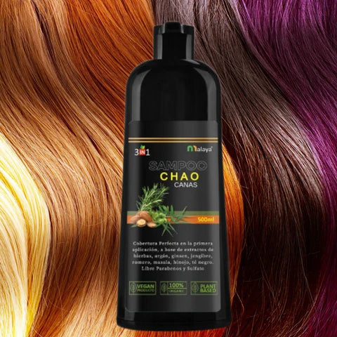 Champú y Tratamiento 3 en 1 para Canas Chao | Natural, Cubre Canas y Fortalece tu Cabello Gris