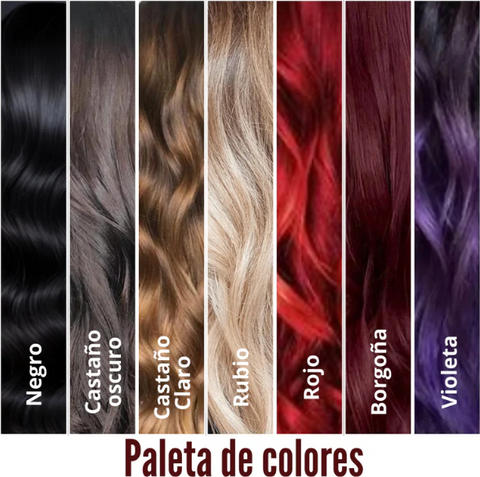Champú y Tratamiento 3 en 1 para Canas Chao | Natural, Cubre Canas y Fortalece tu Cabello Gris